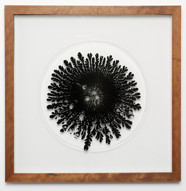 OBJECT / A | Artists | Antony Hall: Hele-Shaw Cell Problem No. 14 (2012)