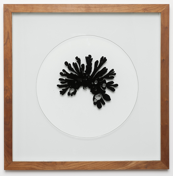 OBJECT / A | Artists | Antony Hall: Hele-Shaw Cell Problem No. 16 (2012)