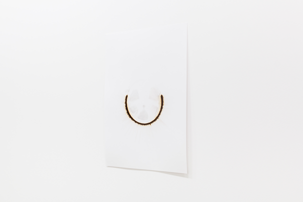 OBJECT / A | Exhibitions | Lee Machell: On Paper